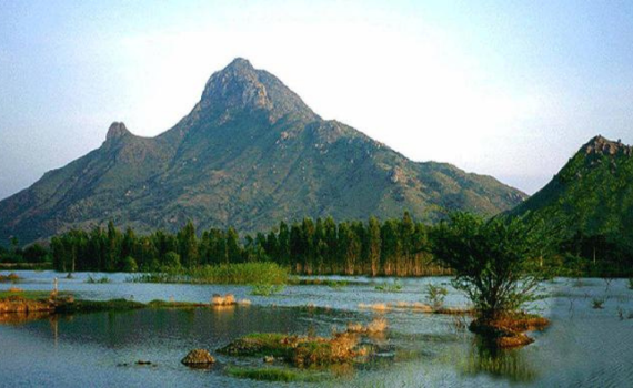 hyderabad to arunachalam tour package